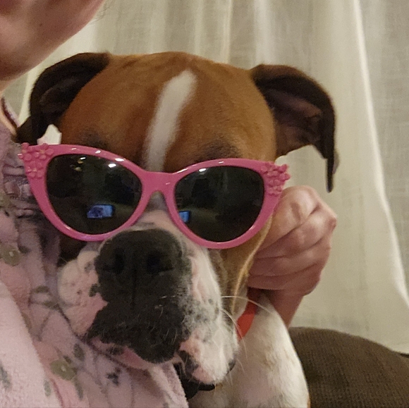 Meet your Posher, Sally - Picture 3 of 10